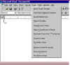 New-options.jpg (34928 bytes)