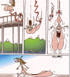 bungee.gif (74771 bytes)