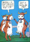 cows.jpg (40199 bytes)