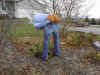 differentpumpkin.bmp (2359350 bytes)