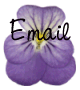 t-violaemail.gif (5480 bytes)