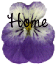 t-violahome.gif (6282 bytes)