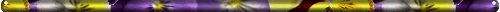 violarule.gif (5298 bytes)